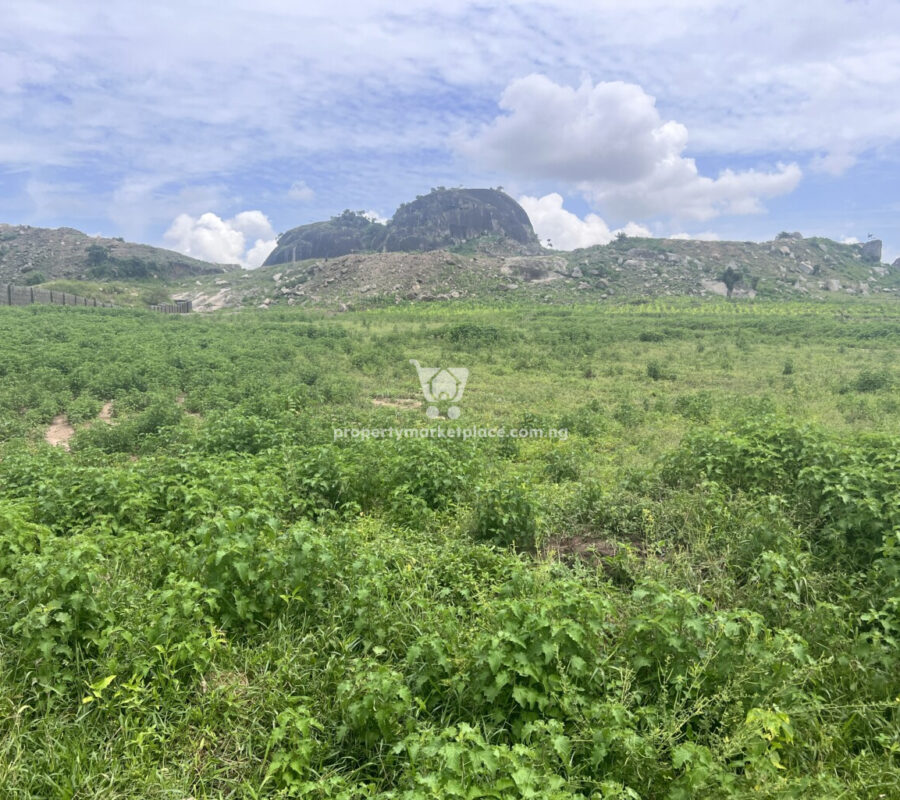 1 hectare of land in a fast developing area
