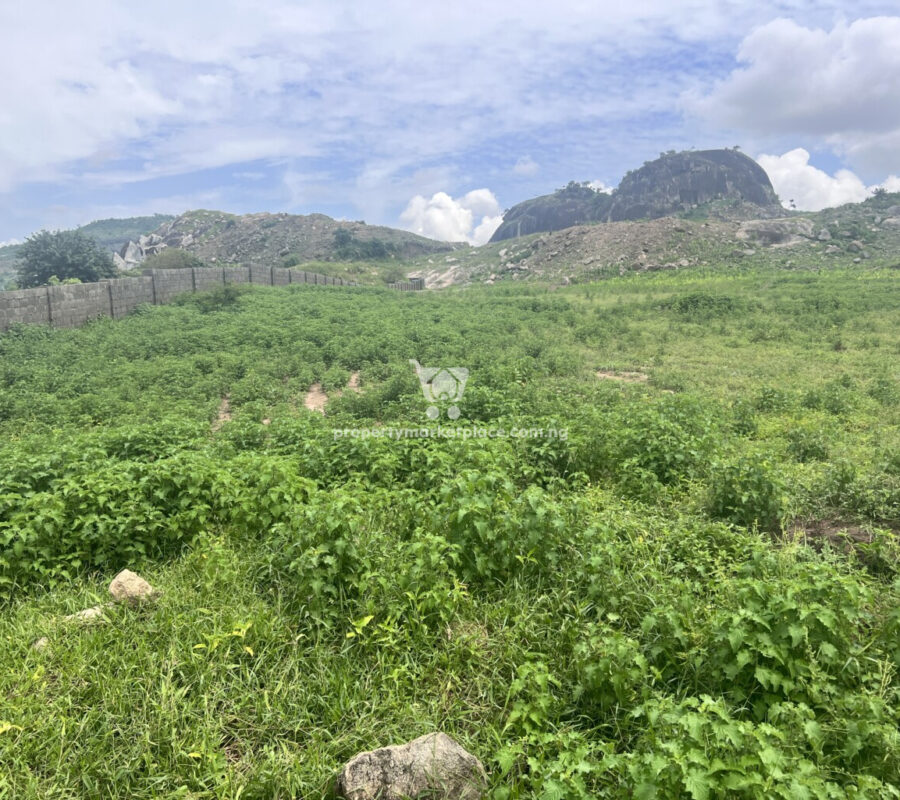 1 hectare of land in a fast developing area