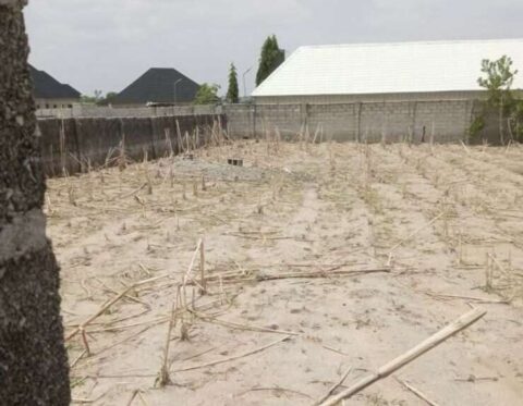 1200 Sqm buildable residential plot of land
