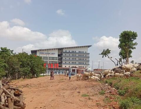 Lifecamp 1239sqm Private residential land