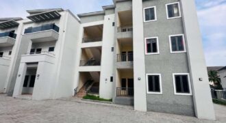 Spacious and nice finished 3 bedroom flat