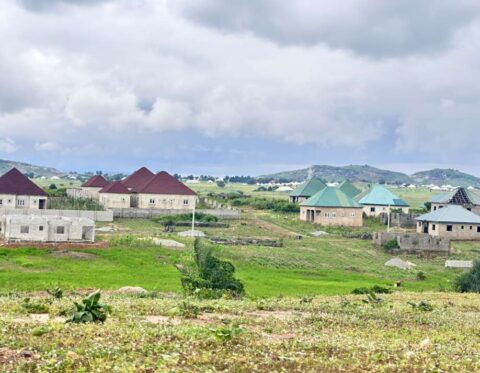 Buildable land in a fast developing estate