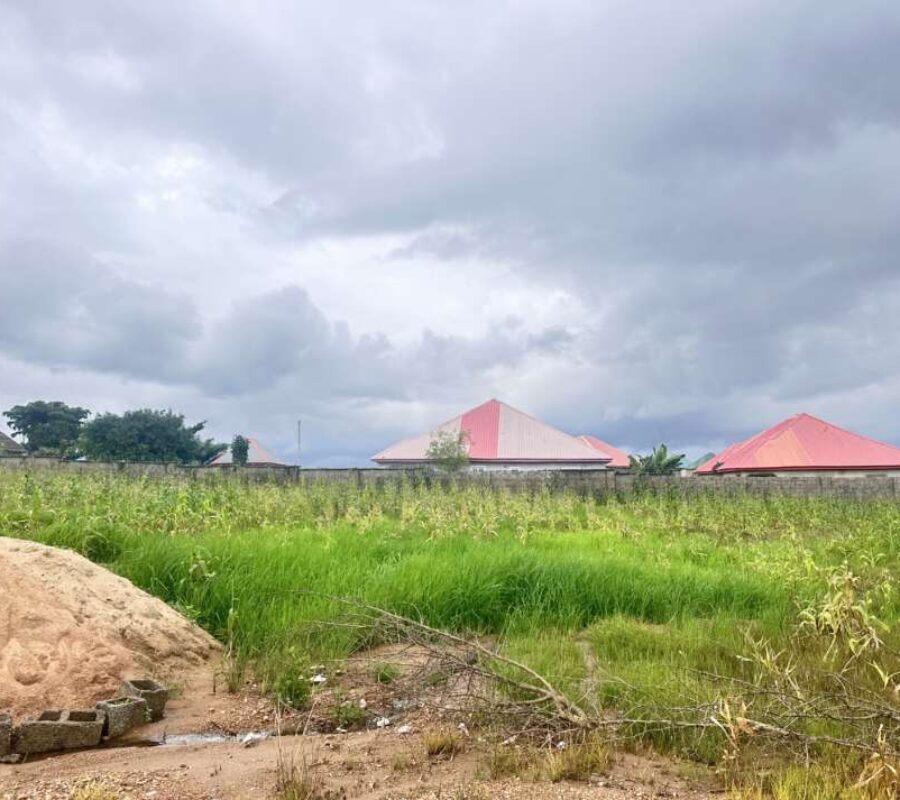Buildable land in a fast developing estate
